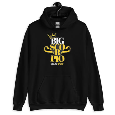 BIG SCORPIO Hoodies